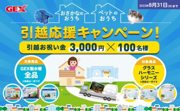 3,000円が当たるGEXのレシートキャンペーン！