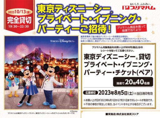 東京ディズニーリゾート企業貸切チケット プライベートイブニング