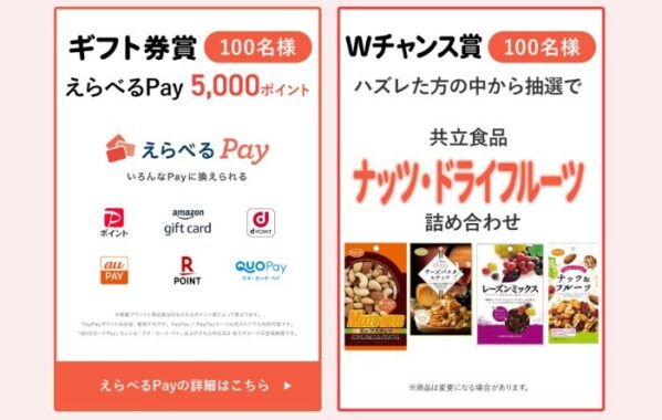 Wチャンスもアリ！えらべるPay5,000ポイントが当たる豪華レシート懸賞！