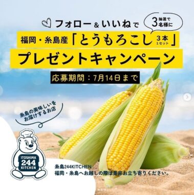 【福岡】糸島産とうもろこしが当たるInstagramキャンペーン☆