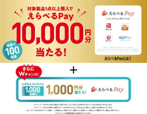 Wチャンスもアリ！10,000円分のえらべるPayが当たる豪華キャンペーン！