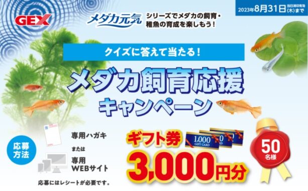 3,000円分のギフト券が当たるクイズキャンペーン！