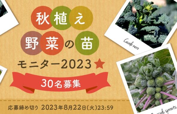 秋植え野菜の苗モニター募集キャンペーン！