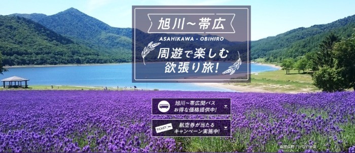羽田発の往復航空券が当たるJALのアンケートキャンペーン！