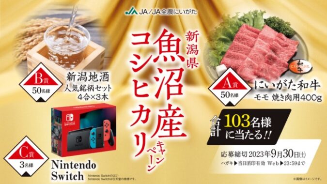 Nintendo Switchや新潟の名産品が当たる豪華クローズド懸賞！