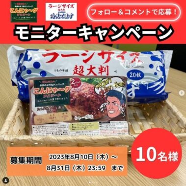 こんにゃくと大豆でできた「ハンバーグ」が試せるモニターキャンペーン☆