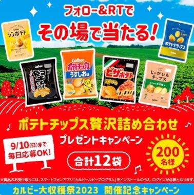 カルビーのポテトチップス贅沢詰め合わせが当たる豪華キャンペーン！