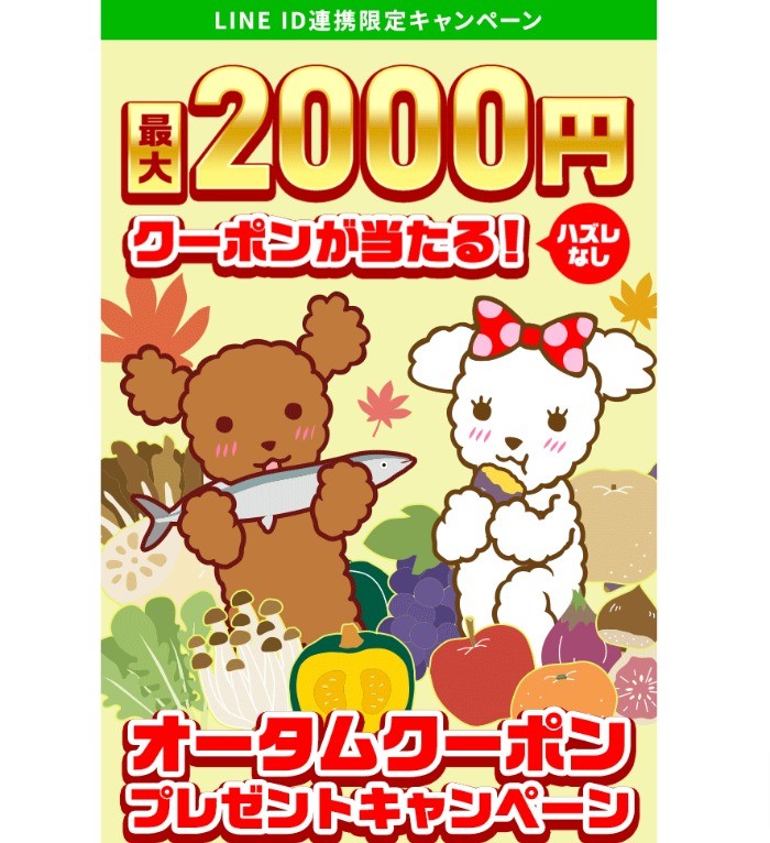 最大2,000円分のファンケルクーポンが当たるLINEキャンペーン！