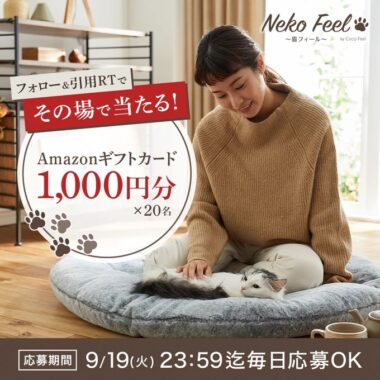 Amazonギフトカード1,000円分がその場で当たるキャンペーン！