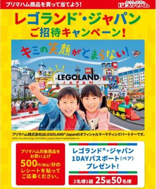 レゴランドJapan 親子ペアチケット1day - 遊園地/テーマパーク