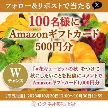 Amazonギフトカード500円分がその場で当たるX懸賞！