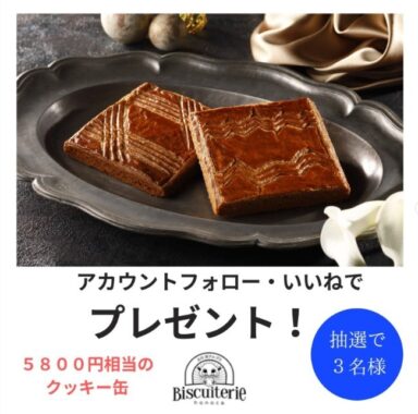 フランス産海塩バター使用 絶品ガレットブルトンヌ（5,800円相当）