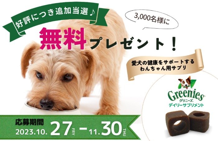 【愛犬用】サプリメントが先着3,000名様に当たるプレゼントキャンペーン♪