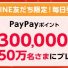 PayPayポイント 最大30万円相当