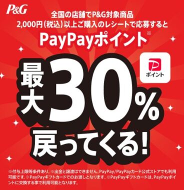 最大30％のPayPayポイントが戻ってくるオトクなキャンペーン！