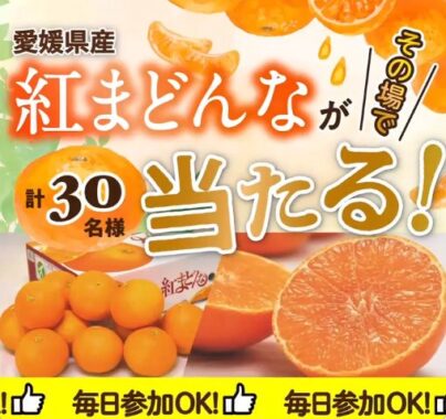 愛媛県産「紅まどんな」がその場で当たるキャンペーン！