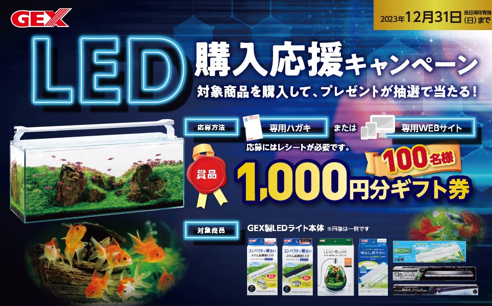 1,000円分のギフト券が当たる、GEX製LEDライト購入キャンペーン！