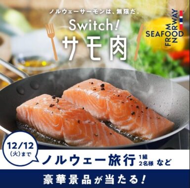 ノルウェー旅行 / ノルウェー産サーモン［フィレ］