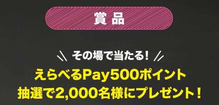 Wチャンスもアリ！2,000名様にえらべるPayが当たる大量当選レシート懸賞！