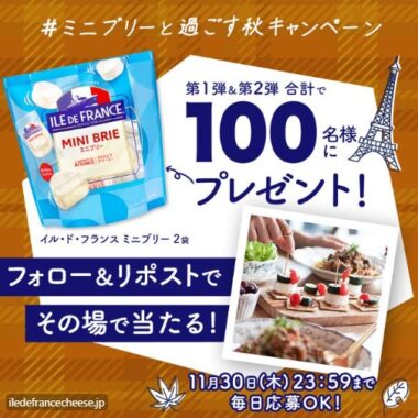 イル・ド・フランスのミニブリーがその場で当たるキャンペーン！