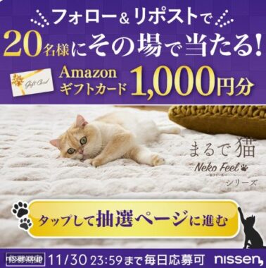 Amazonギフトカード1,000円分がその場で当たるキャンペーン！