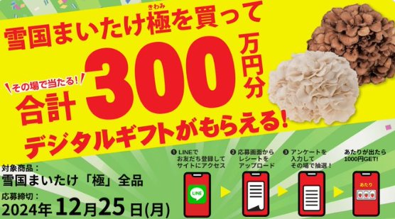 3,000名様にデジタルギフトが当たる大量当選レシート懸賞！