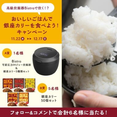 Panasonic Bistro 可変圧力IHジャー炊飯器＆銀座カリー5個セット / 銀座カリー 50個セット