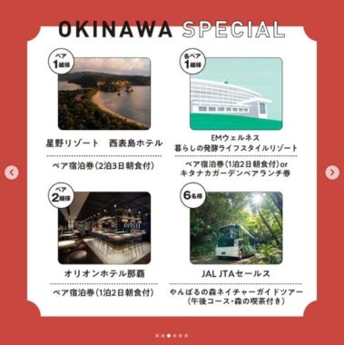 星野リゾート 西表島ホテルペア宿泊券 / オリオンホテル那覇 ペア宿泊券 など
