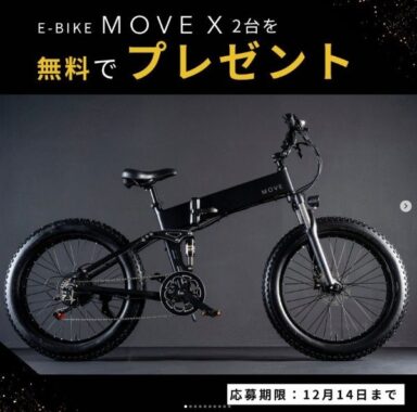 E-Bike MOVE X