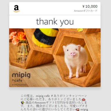 mipigcafeのX懸賞で「Amazonギフト券1万円分」が当選