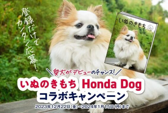 愛犬がデビューのチャンス！会員限定キャンペーン！