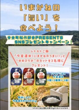 【北海道】今金濃米＆ゆめぴりかセットが当たる、JA今金町のX懸賞！