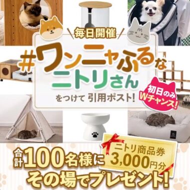 3,000円分のニトリ商品券が100名様にその場で当たるキャンペーン！