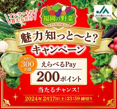 300名様にえらべるPayが当たるアンケートキャンペーン！