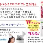 一休.comギフト券 3万円 / 2WAYブラシヘアアイロン / カラートリートメント