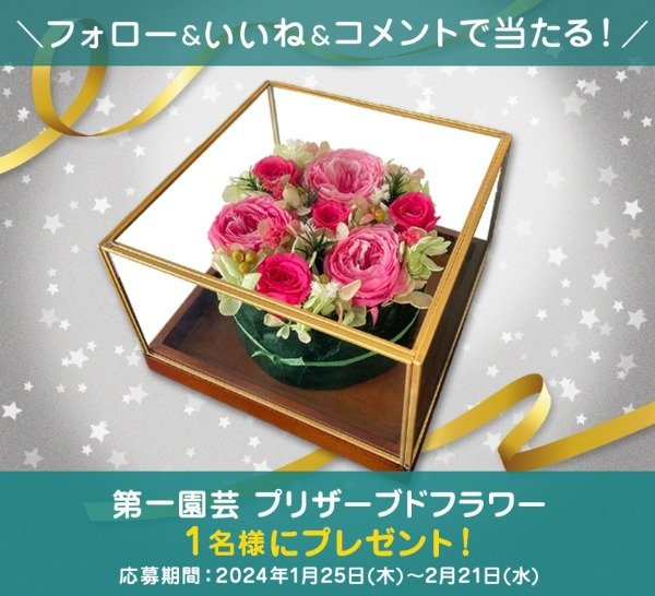 ピンクの濃淡バラを敷き詰めたプリザーブドフラワーが当たるInstagram懸賞☆
