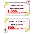 PayPayギフトカード 1,000円分 / アプリポイント 500ポイント