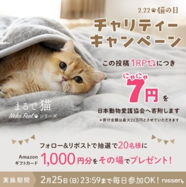 Amazonギフトカード1,000円分がその場で当たるキャンペーン