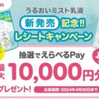 えらべるPay 最大10,000円分