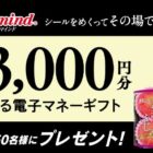電子マネーギフト 最大3,000円分