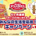 オリジナルQUOカード 1,000円分 / アスパラガスお菓子詰め合わせ