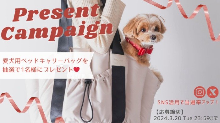 愛犬用のベッドキャリーバッグが当たるプレゼントキャンペーン