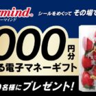 電子マネーギフト 1,000円分
