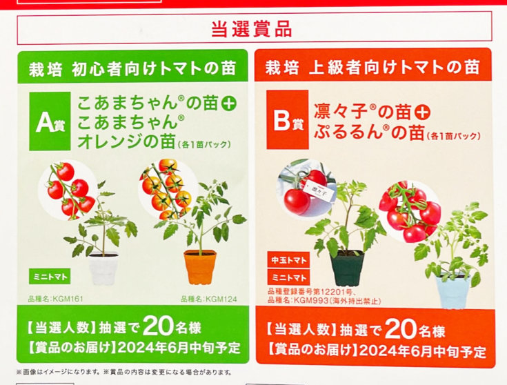 【オークワ×カゴメ】カゴメトマトの苗プレゼントキャンペーン