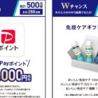 PayPayポイント 10,000円相当 / 免疫ケアギフトBOX