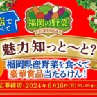 博多和牛 肩ロース焼肉用 / カゴメ野菜BOX / QUOカードPay 1,000円分