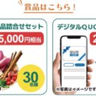 宮崎県産品詰め合わせやQUOカードPayが当たるLINEキャンペーン