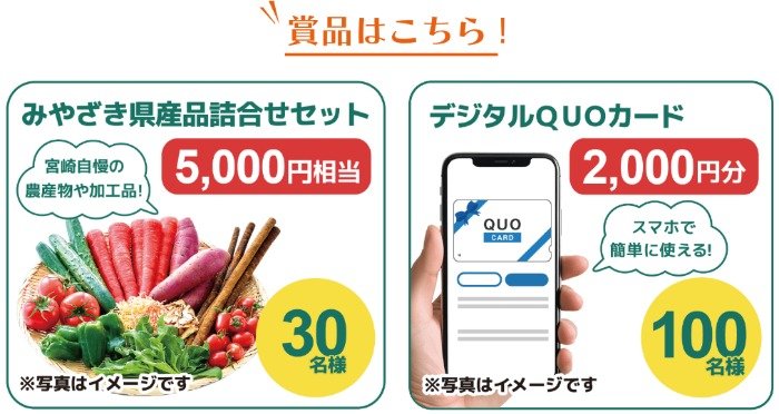 宮崎県産品詰め合わせやQUOカードPayが当たるLINEキャンペーン