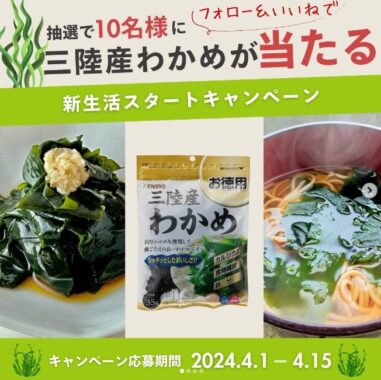 三陸産わかめ