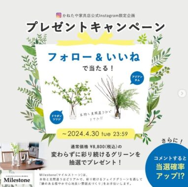 フェイクグリーン ドウダンツツジ ウォーター H60cm / アジアンタム ウォーター H46cm